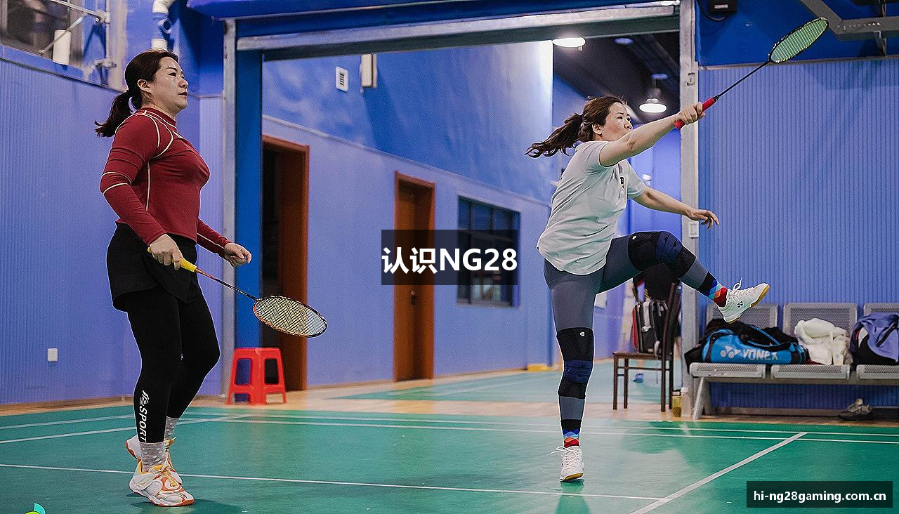 认识NG28